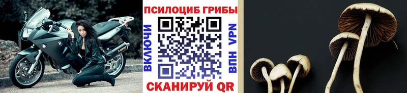 Галлюциногенные грибы мухоморы Кириллов